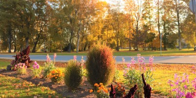Košās rudens krāsas